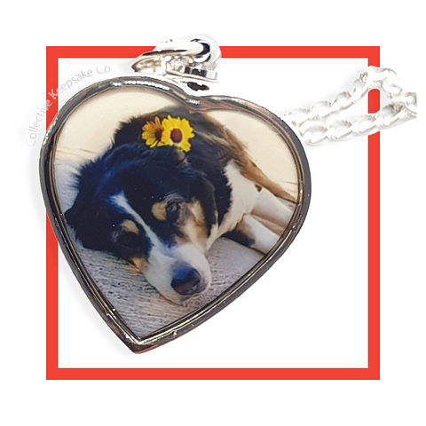 Fur Family Pet Memorials and Jewellery Collection