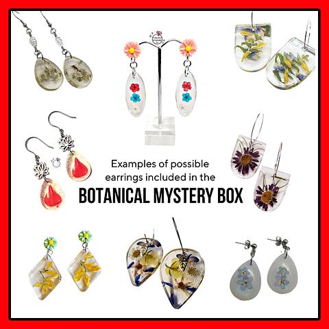 BOTANICAL Mystery Box